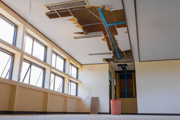 Best Mold removal after water damage  in Sewell, NJ