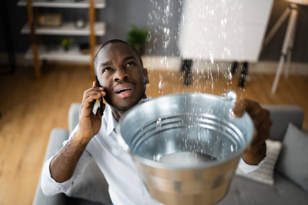 Best Flood damage cleanup  in Sewell, NJ