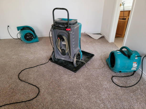 Best Mold removal after water damage  in Sewell, NJ