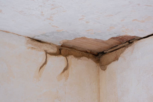 Best Ceiling water damage repair  in Sewell, NJ