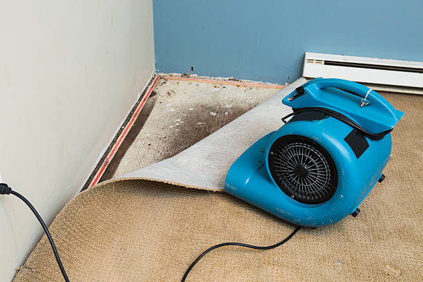 Best 24-hour water damage restoration  in Sewell, NJ